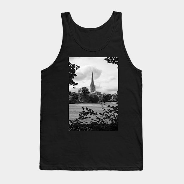 Norwich cathedral Tank Top by stuartchard